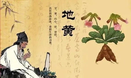 圖片1